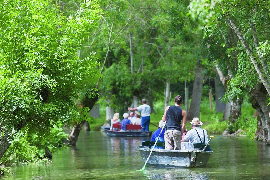 Balade en barque avec guide au Marais Poitevin - Coulon