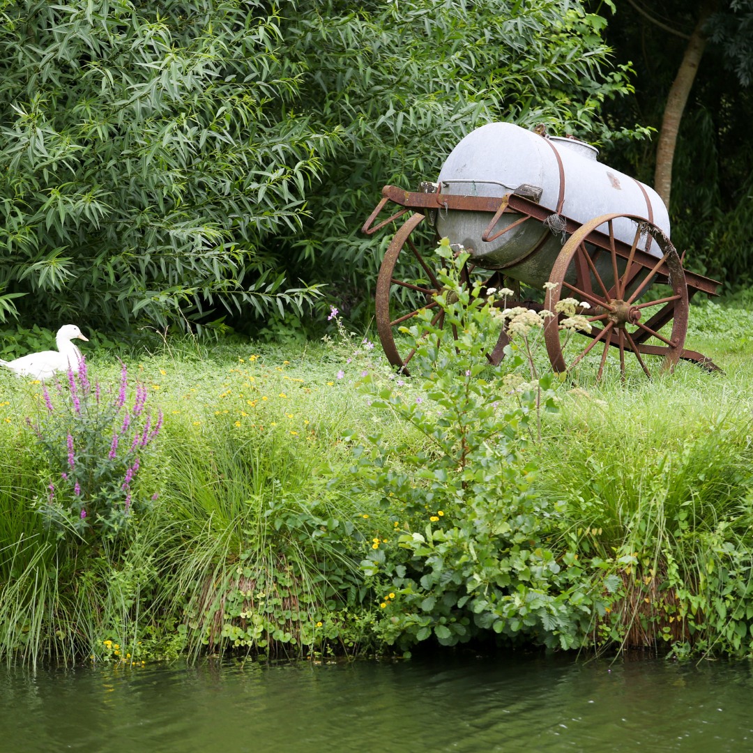 Actualités Marais Poitevin à Coulon